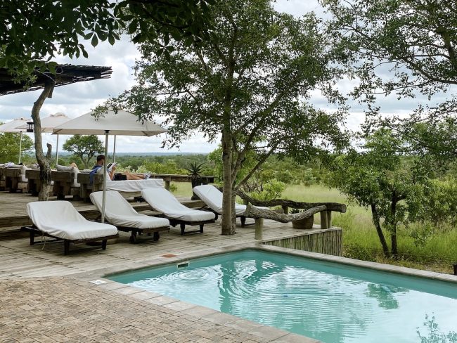 Luxury Safari Review: Baobab Ridge, Kruger National Park • Discover ...