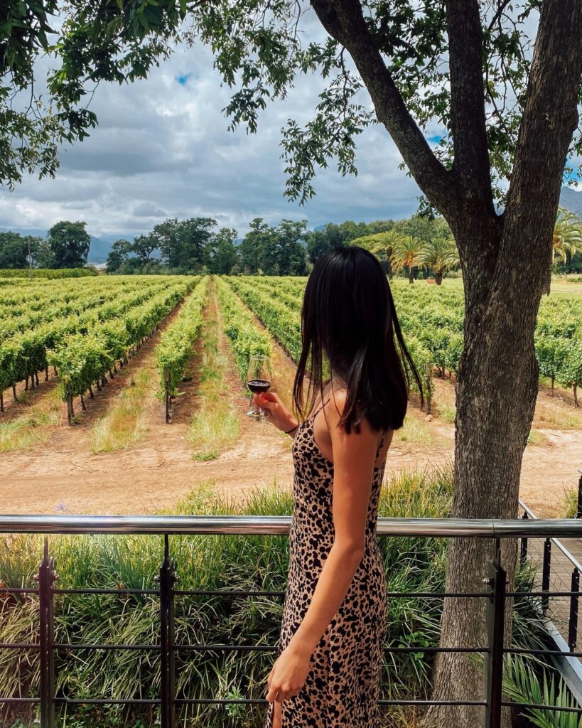 Woman in a leopard-print dress stands at a railing, holding a glass of red wine while overlooking rows of grapevines in a vineyard under a cloudy sky.