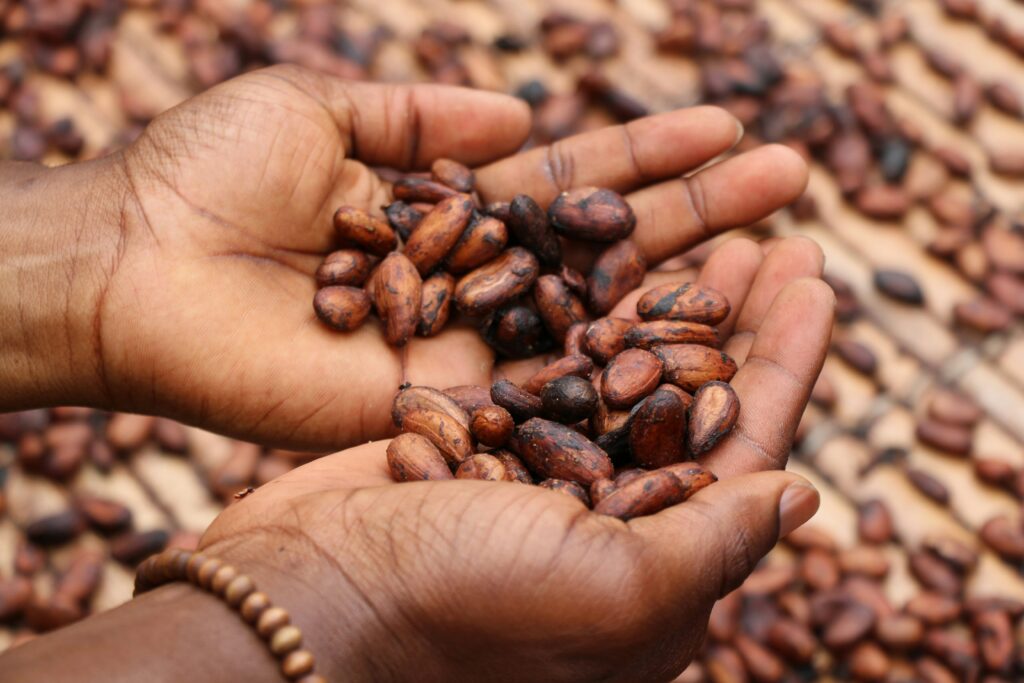 Hands cupping reddish-brown cacao beans with a beaded bracelet on the wrist, background beans blurred in.