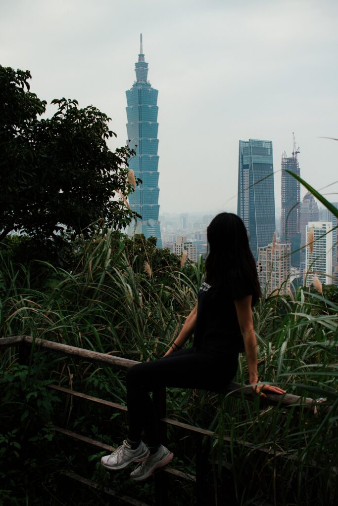 Person sits on a wooden railing amid tall grasses, overlooking a city skyline with Taipei 101 in the distance.
