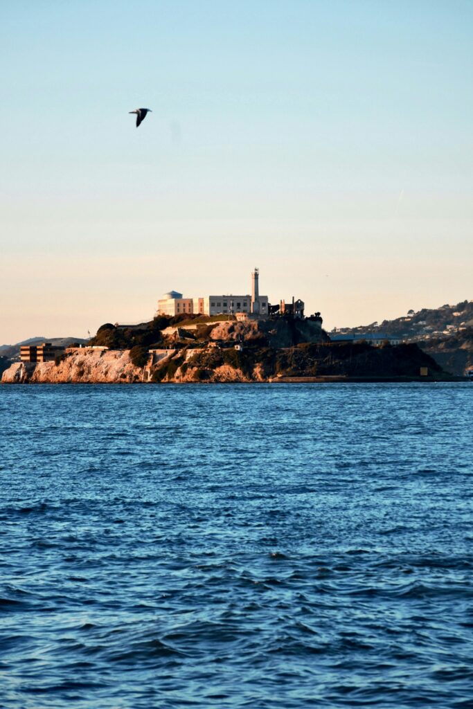 Lighthouse and buildings on a rocky island with blue sea and a bird flying overhead