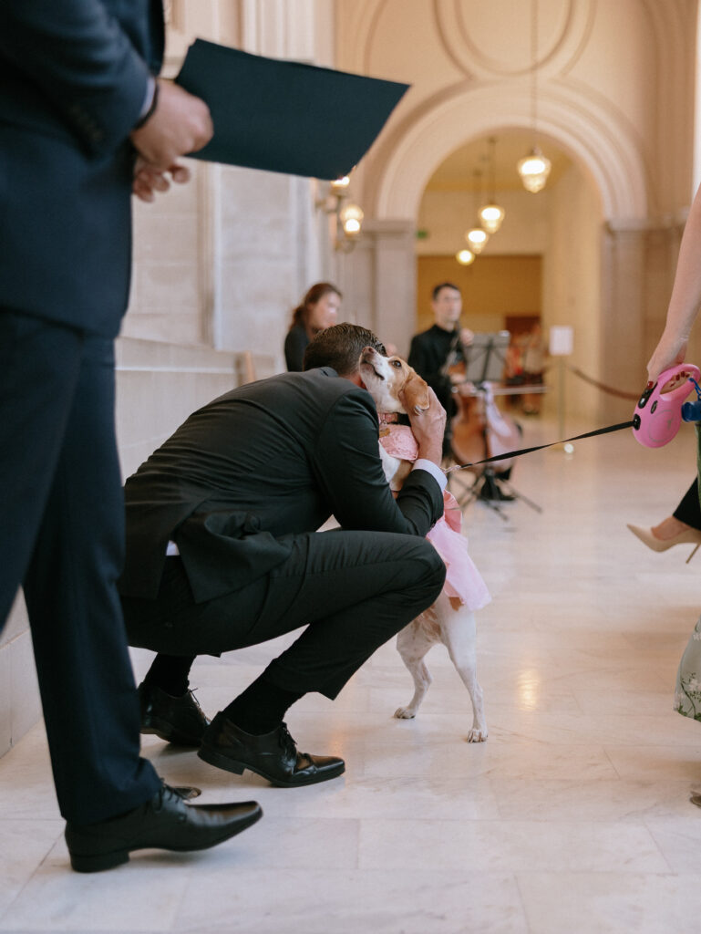 Man in a suit kneels to hug a small dog wearing a pink dress in a marble lobby as a person holds a pink leash nearby.
