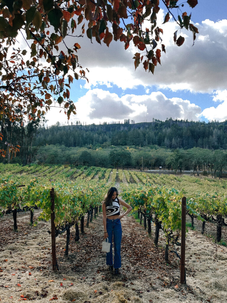 Person standing in a vineyard between rows of grapevines with hills and cloudy sky in the background.