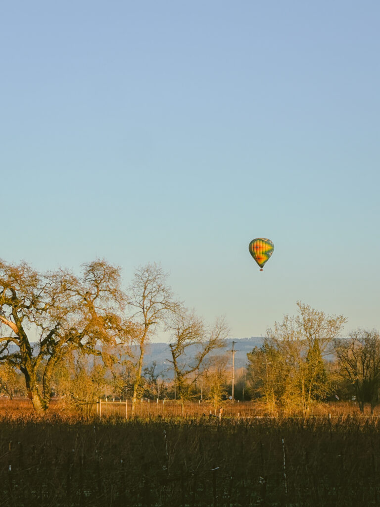 Colorful hot air balloon drifting in a clear blue sky above a line of leafless trees in a rural landscape.